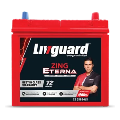 Livguard Zing batteries - ZE55B24LSL